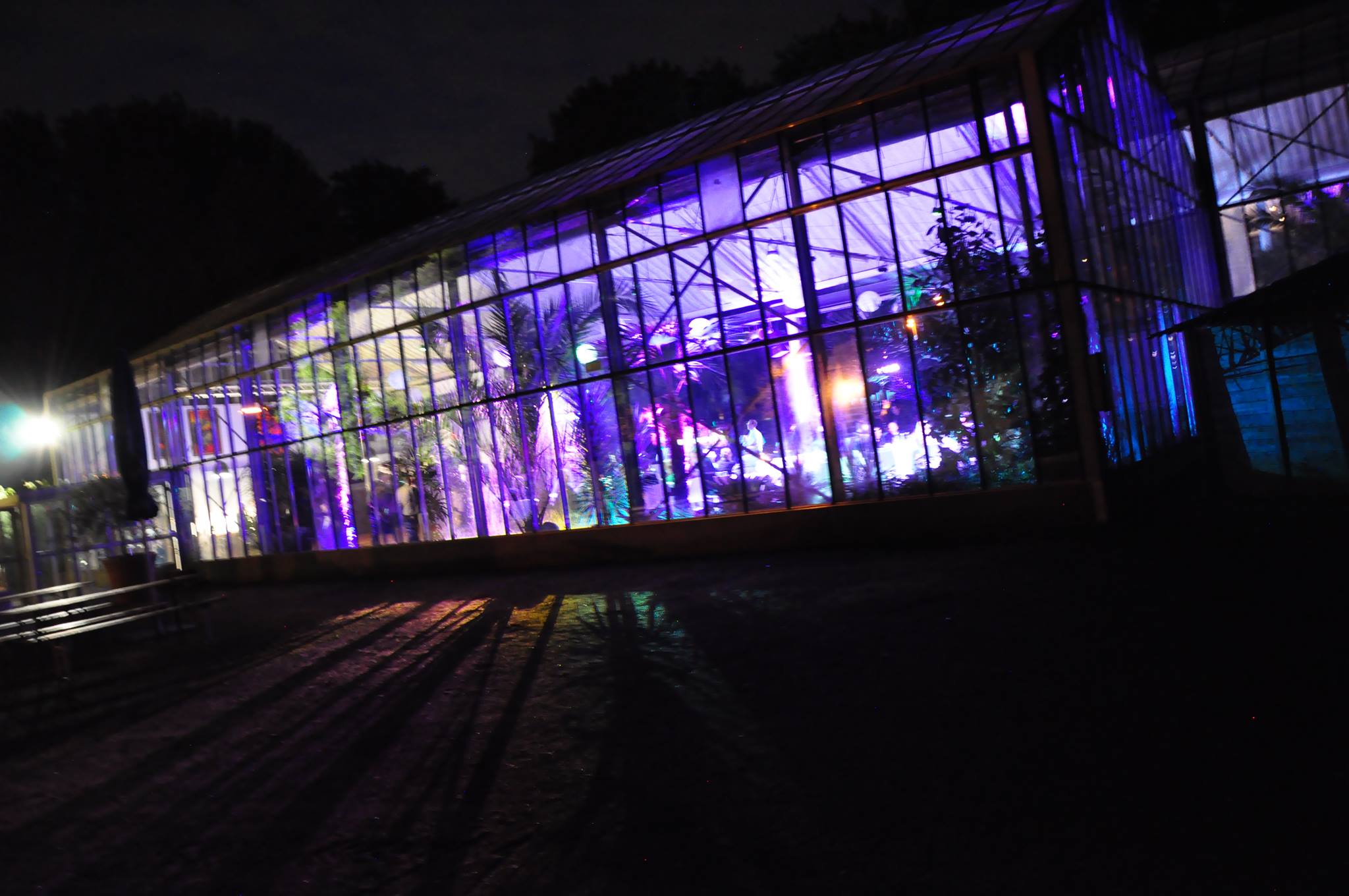 Ambientlicht Blumenhalle Jülich